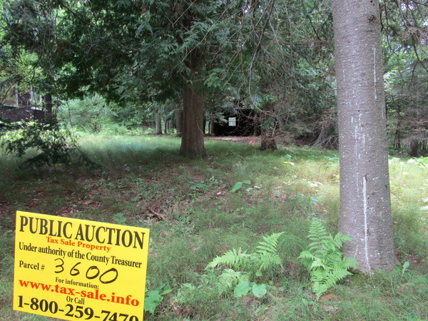 Lot 3600