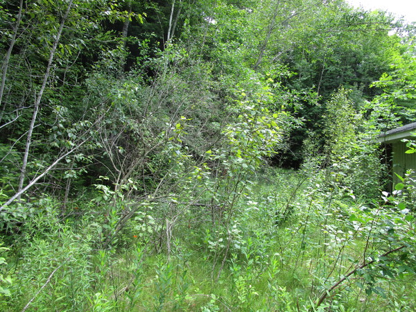 Lot 3602