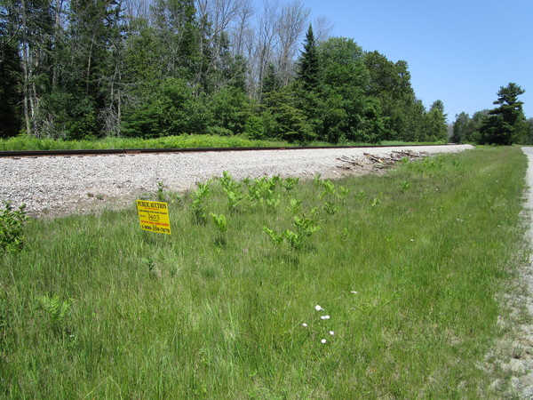 Lot 3603