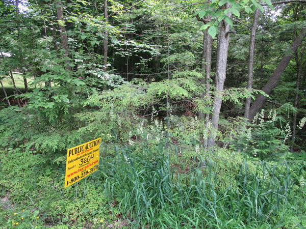 Lot 3604