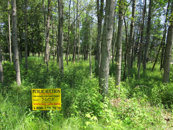 Lot 3605