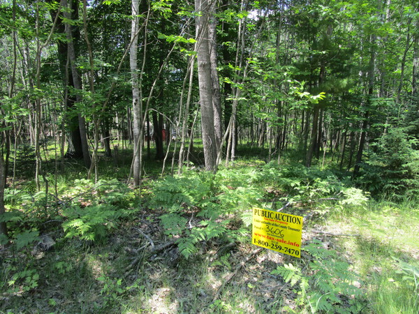 Lot 3606