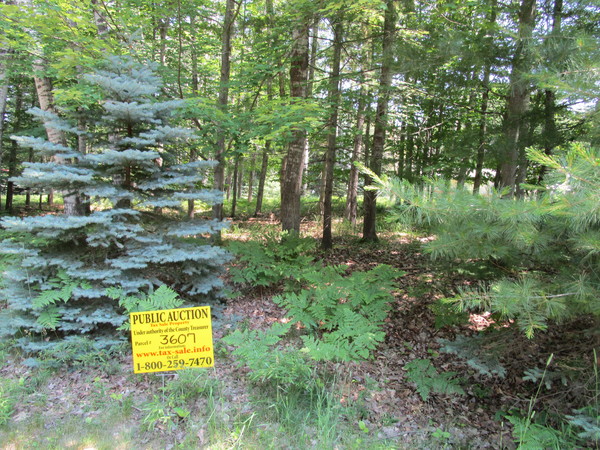 Lot 3607
