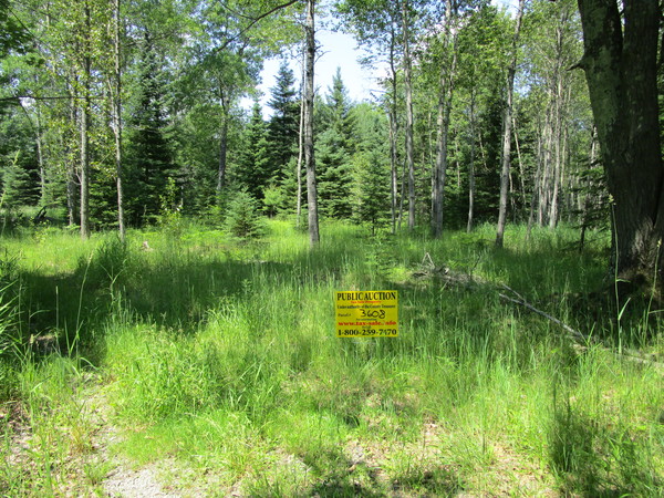 Lot 3608