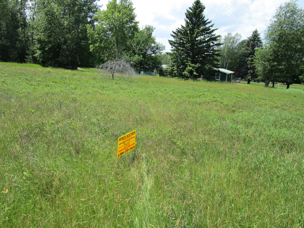 Lot 3610