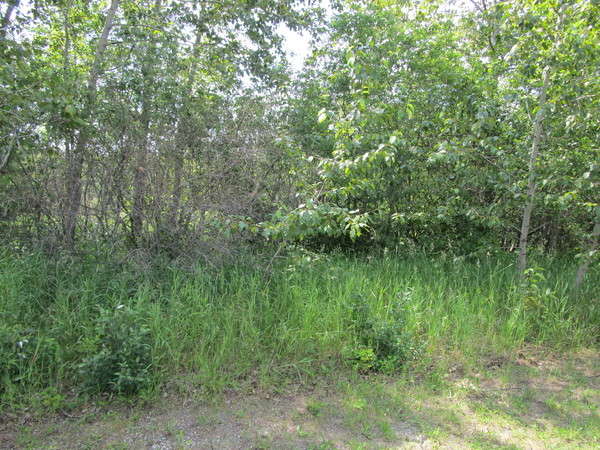 Lot 3614