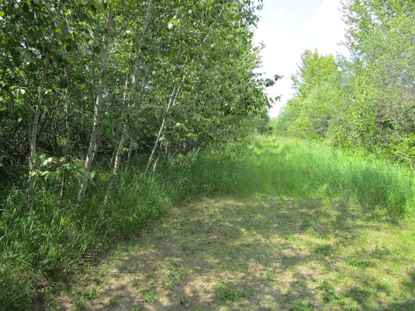 Lot 3615