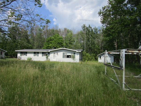 Lot 3617