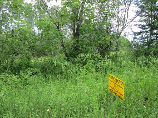 Lot 3619