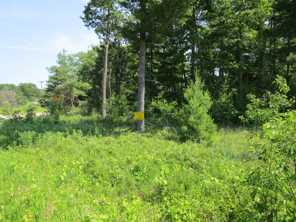 Lot 3622