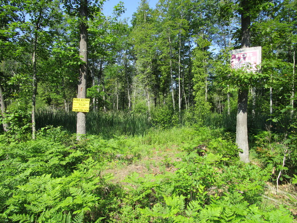 Lot 3624