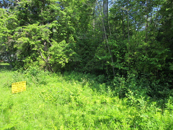 Lot 3626