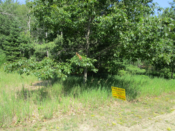 Lot 3629