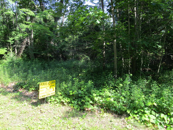 Lot 3630