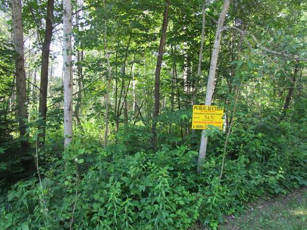 Lot 3631