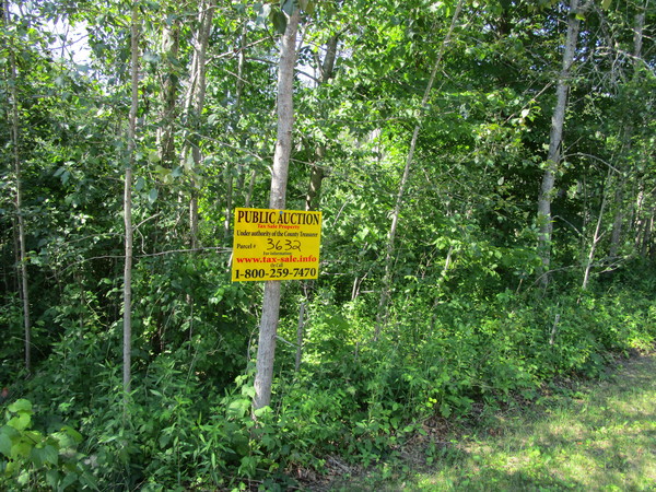 Lot 3632