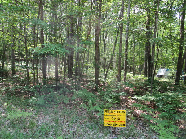 Lot 3636