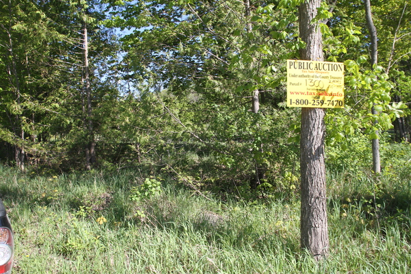 Lot 1300