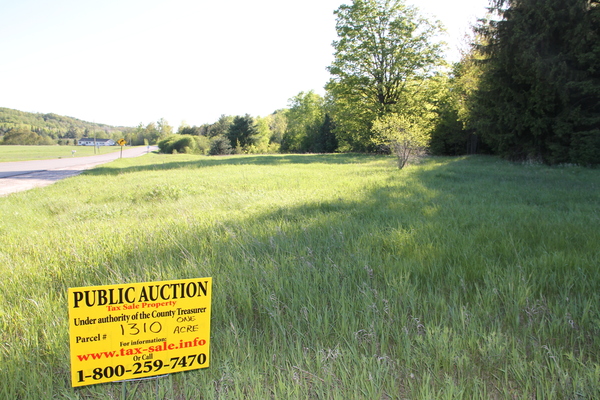 Lot 1310