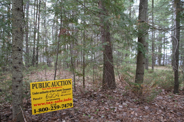 Lot 6204