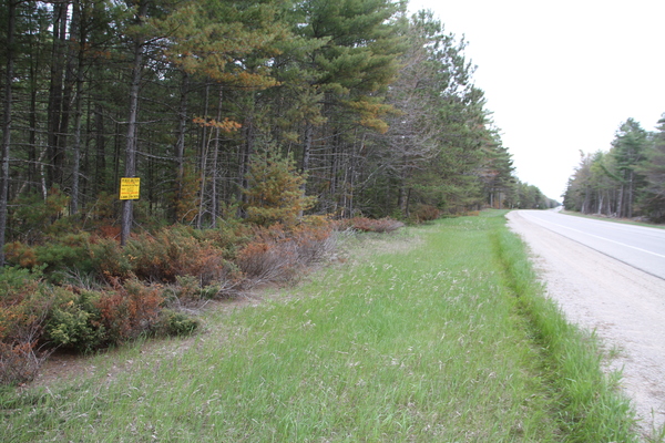 Lot 6205
