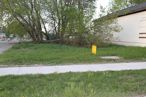 Lot 6206