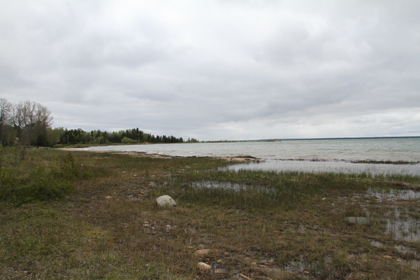 Lot 6207
