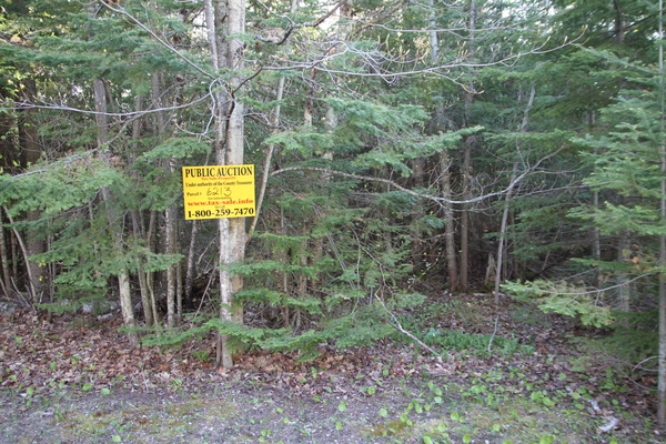 Lot 6213