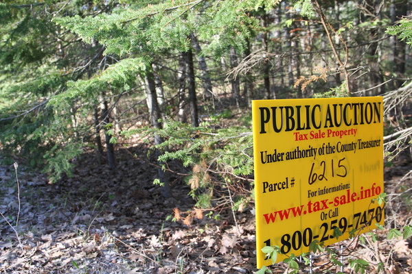 Lot 6215