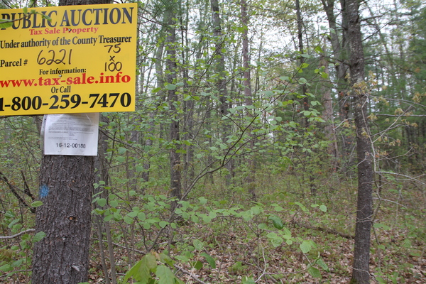Lot 6221
