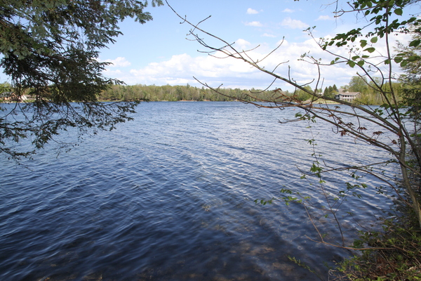 Lot 6222