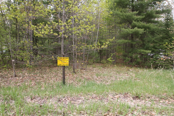 Lot 6226