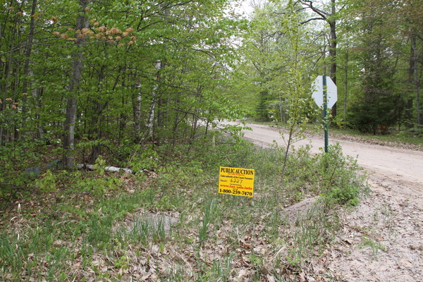 Lot 6227