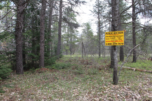 Lot 6228