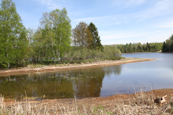 Lot 6234