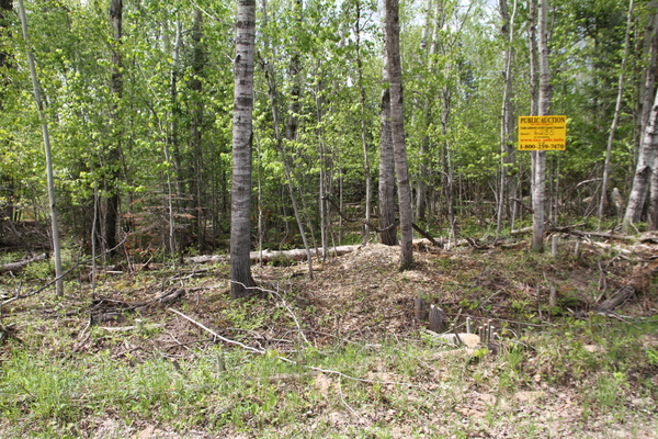 Lot 6235
