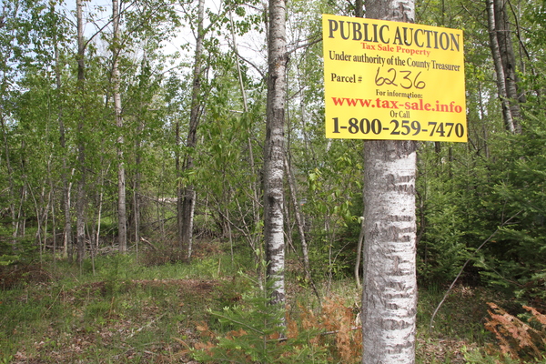 Lot 6236