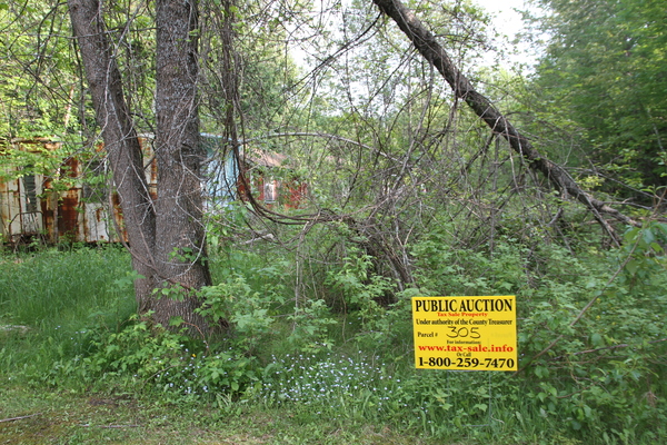 Lot 305