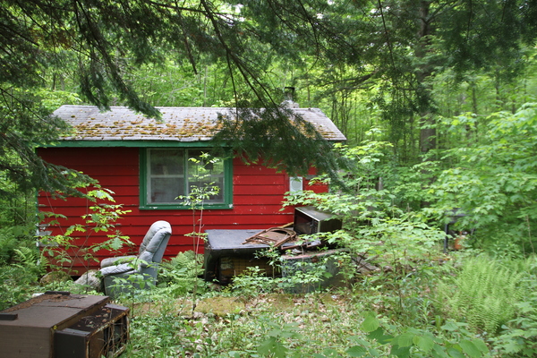 Lot 317