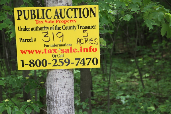 Lot 319