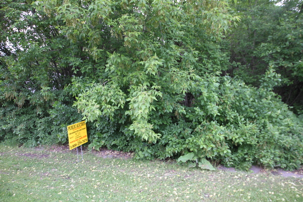 Lot 324