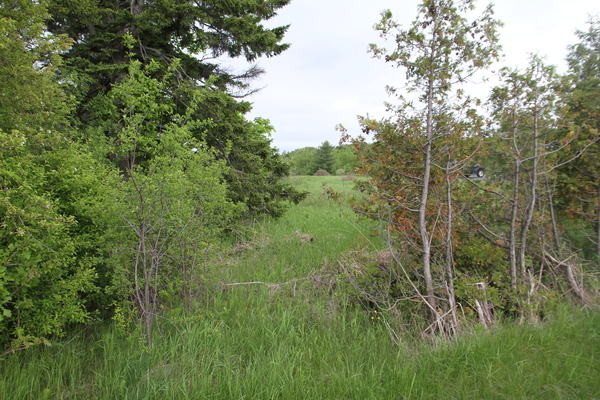 Lot 325