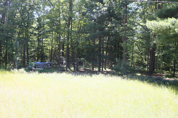 Lot 2604