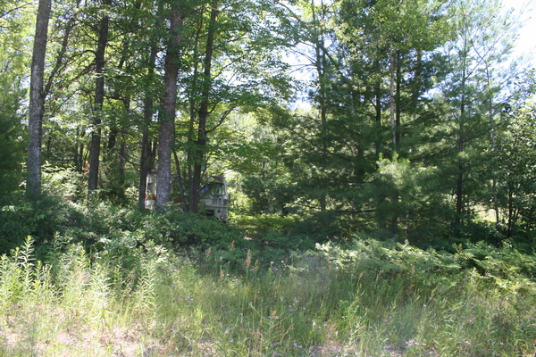 Lot 2605