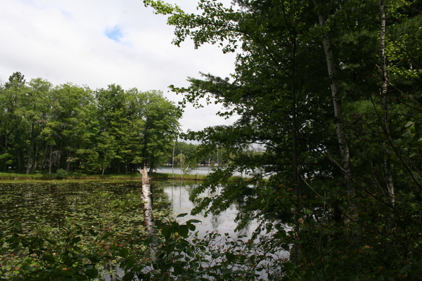 Lot 2625