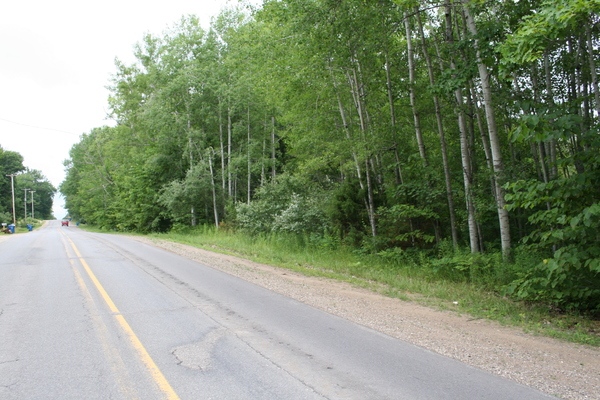 Lot 2629