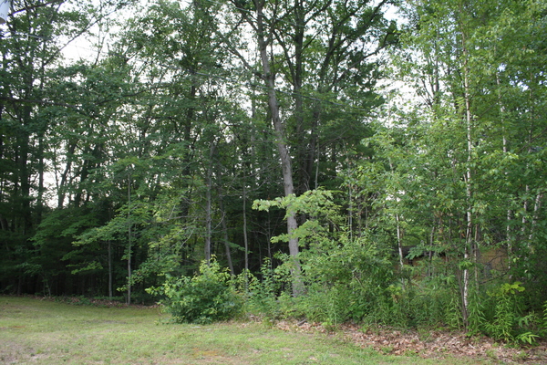 Lot 2636