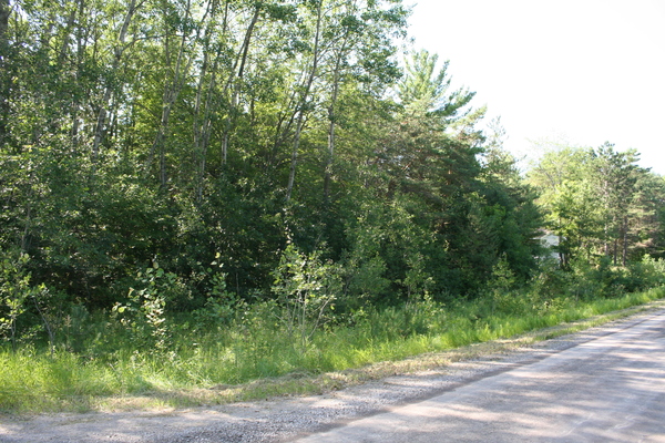 Lot 2641