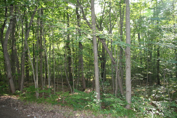 Lot 2662