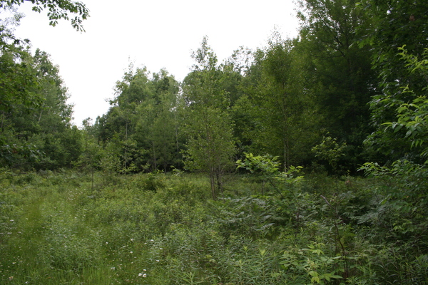 Lot 2663